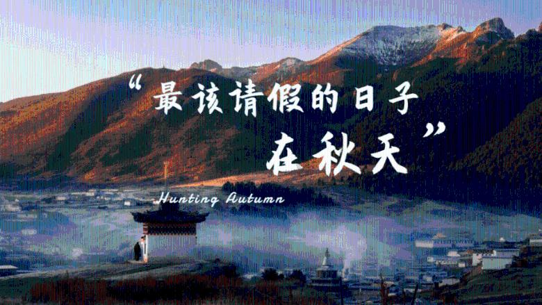 日常照片拼图