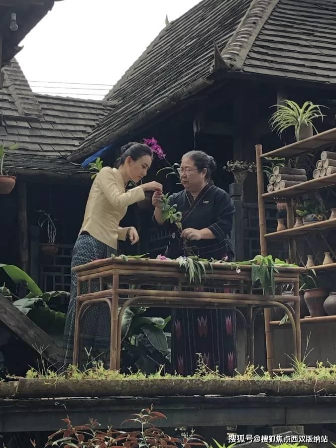 燃烧吧大脑免广告最新版