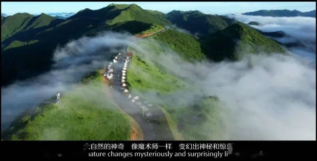 枪火游侠